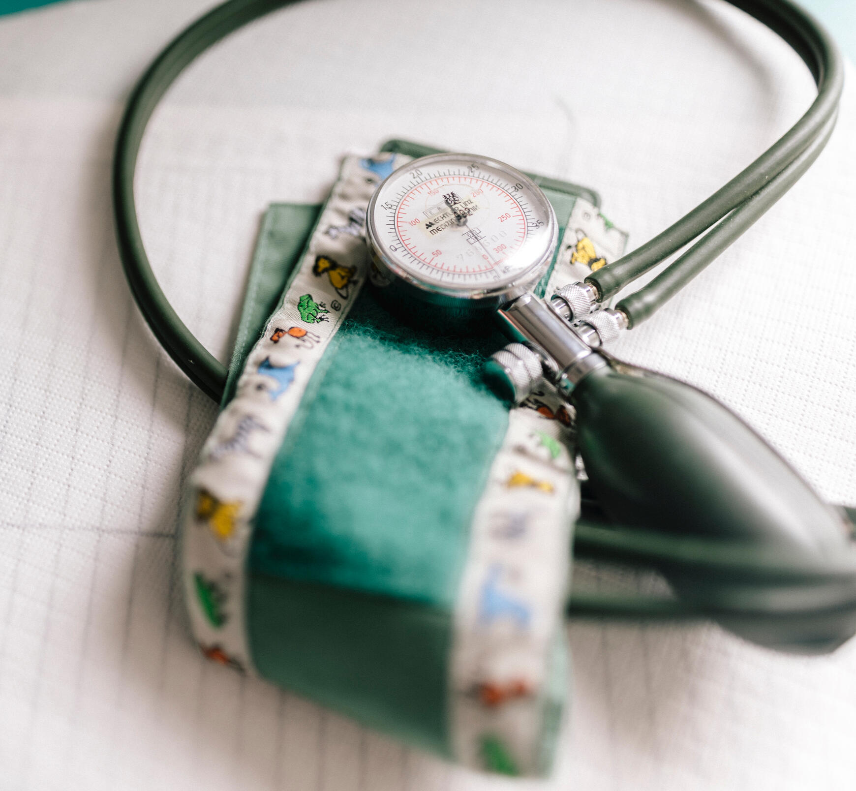 © Viktoria Hofmarcher